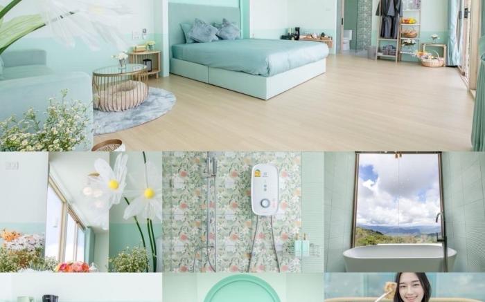 Picking stars ดอยช้าง