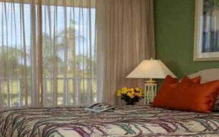 Magic Tree Resort