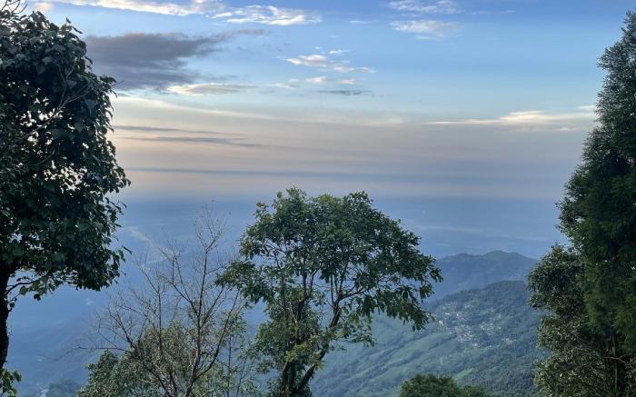 Lemo's Cafe and Homestay