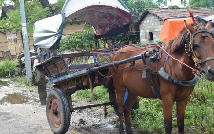 Chitwan Paradise Hotel