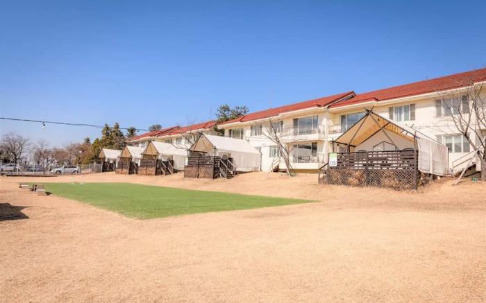 Gold Pet Resort