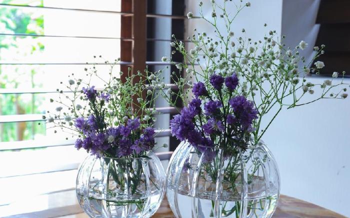 Peaceful Escape in Gurgaon - Villa Retiro Do Sol