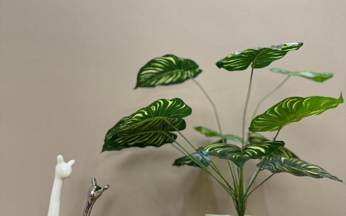 Sora Home - your private sky 