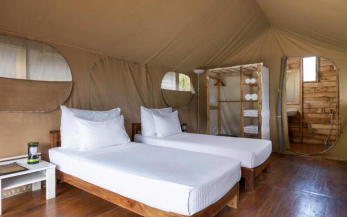 Wild Glamping Knuckles - Thema Collection