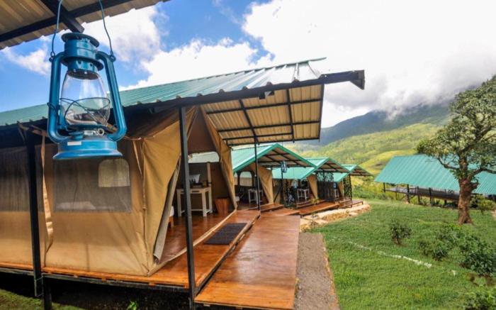 Wild Glamping Knuckles - Thema Collection