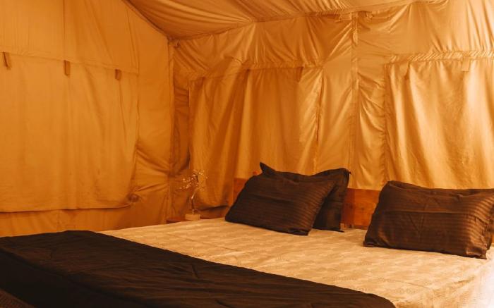 H2H - Glamping 2 tents | Bir Himachal by Homeyhuts