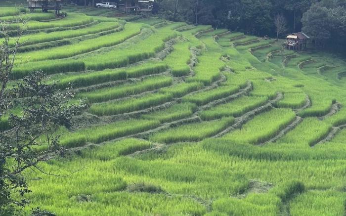 แฮโอะบิ (นาขั้นบันได ปางมะโอ)