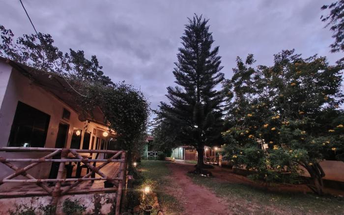 The Big Cat's Den - Maravakandy Resort Masinagudi