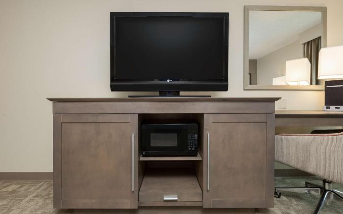 Hampton Inn Houston-Near The Galleria