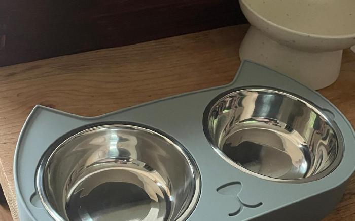 롤키 펫 PRT 룸 , 10평 독채, 북스테이 , 휘닉스파크, 개별바베큐 , 애견동반 가능