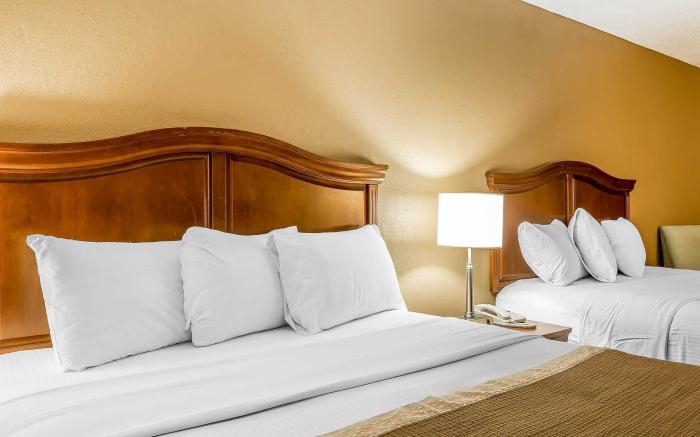 Rodeway Inn Knoxville East