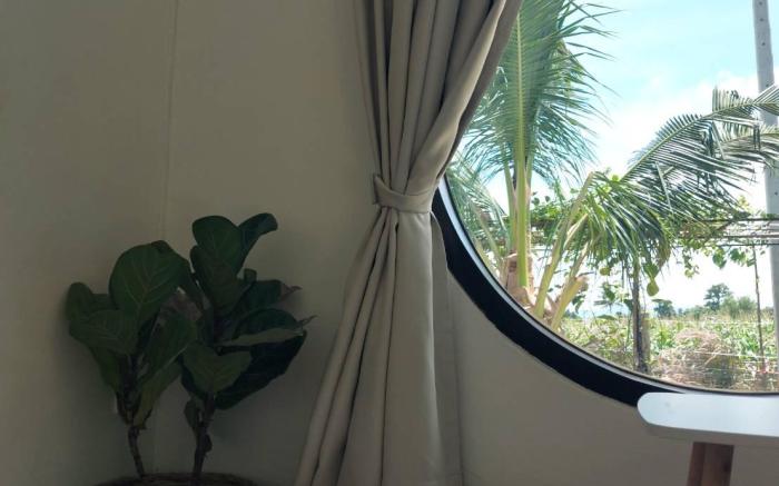 บ้านขาว