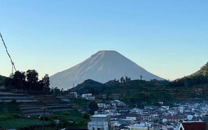 Tani House Skoter Dieng