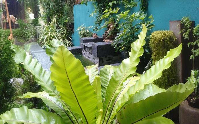 Sandila Surf and Stay - Hiriketiya