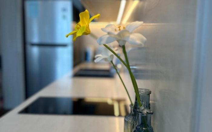 Ch0109 Vinhomes Smart City, 2PN2wc (Toà B Maáteri)