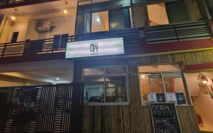 Mild Life Hostel