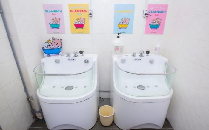 Glamdog Dog Pension Yangyang Branch