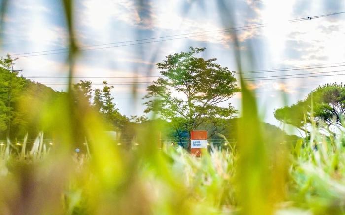 Glamdog Dog Pension Tongyeong Branch