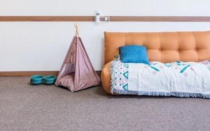 Glamdog Dog Pension Gyeongju Branch