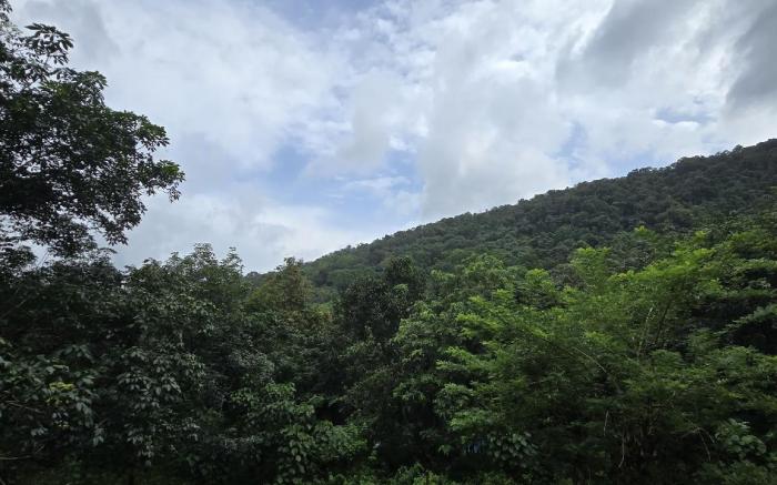 Wild Heaven Cottage Athirappilly