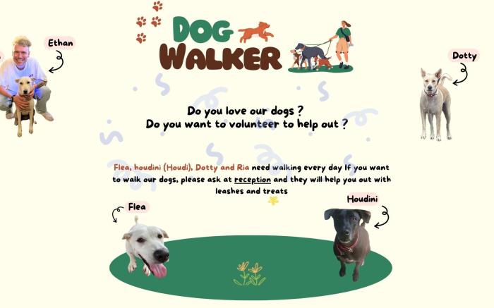 Jungle Hostel Koh Tao