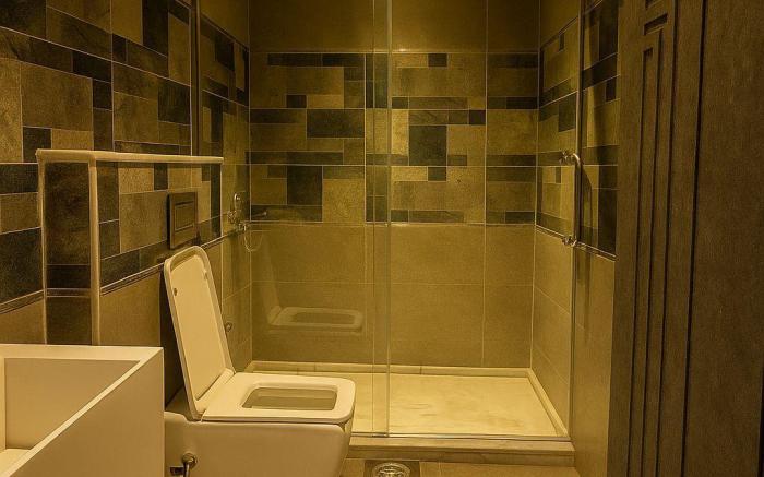 ٨٧ مول سفنكس  الهرم المريوطيه الجيزه