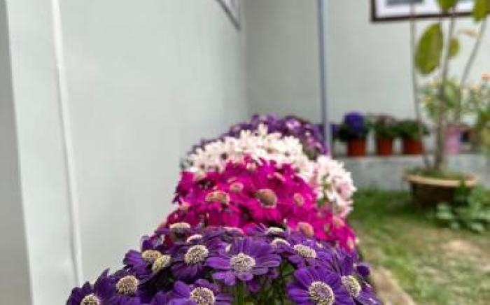 Dilpali Home Cum Farm stay