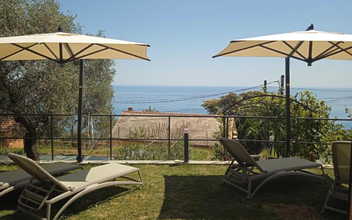 La casa tra gli ulivi 