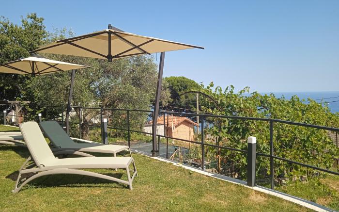 La casa tra gli ulivi 