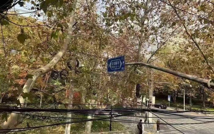 长乐路/淮海中路老上海洋房，TAXX巨鹿路158，IAPM环贸南京西路，兴业太古汇，田子坊，新天地