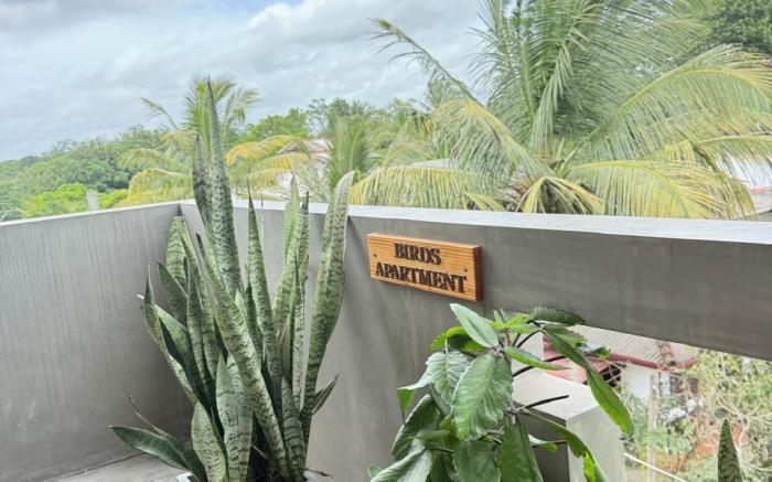 Olaia Apartments and Co-working Café