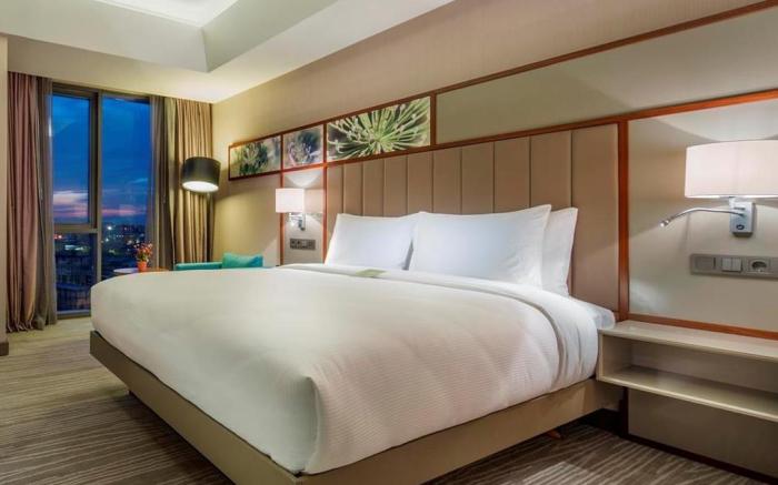 Hilton Garden Inn Istanbul Ataturk Airport Turkey