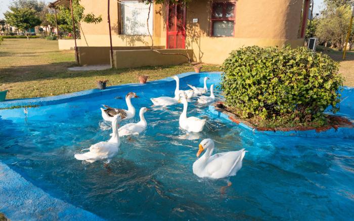 Arise Rustic Village Resort - Manesar