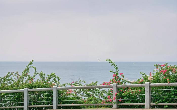 Sunset Mũi Né Retreat