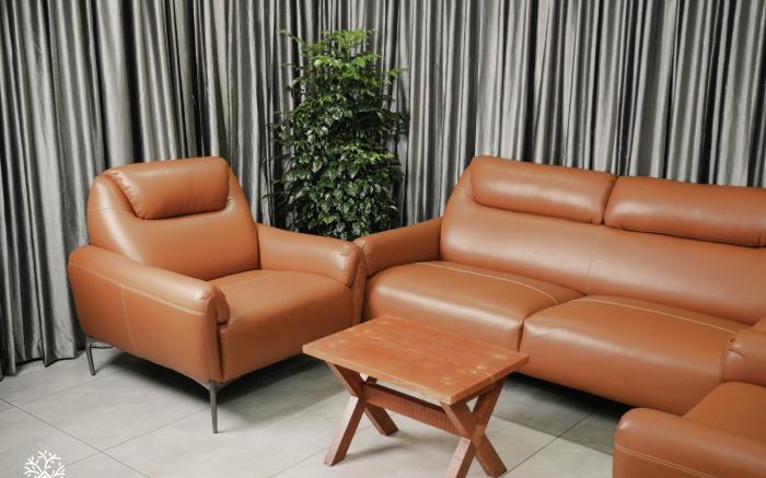 Tree Valley Resort Wayanad