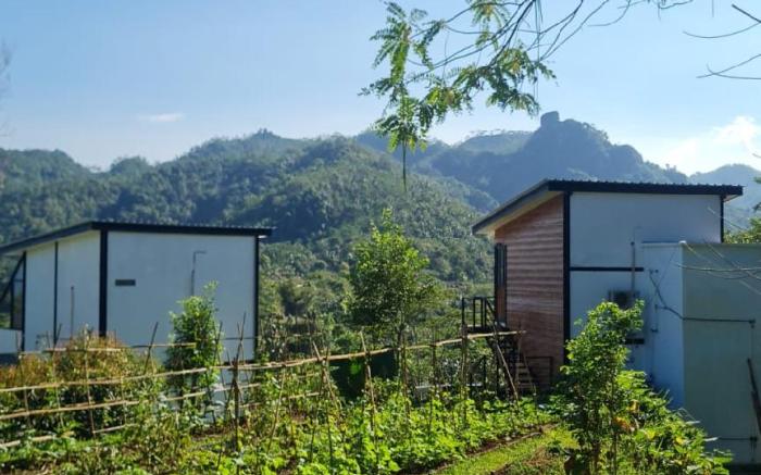Menoreh Farm Stay Samigaluh Kulonprogo
