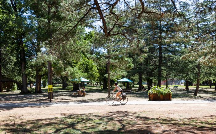 Modern Braddon Studio with Parking