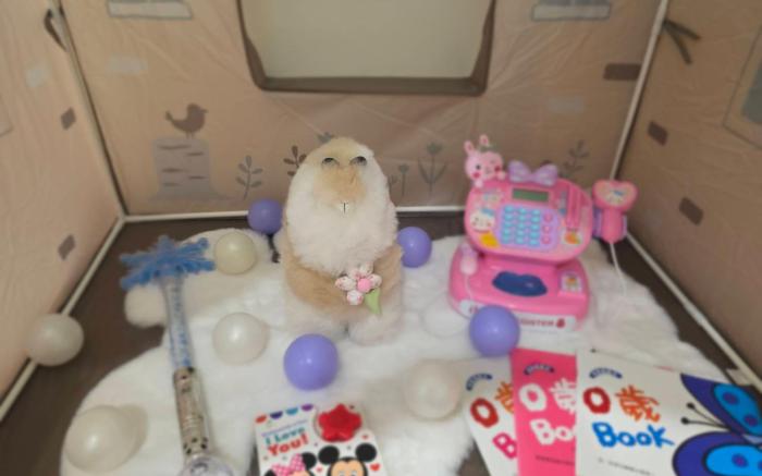 Nov-vip Stay in Ximending｜3房公寓・1~6人同價 同行最佳選擇