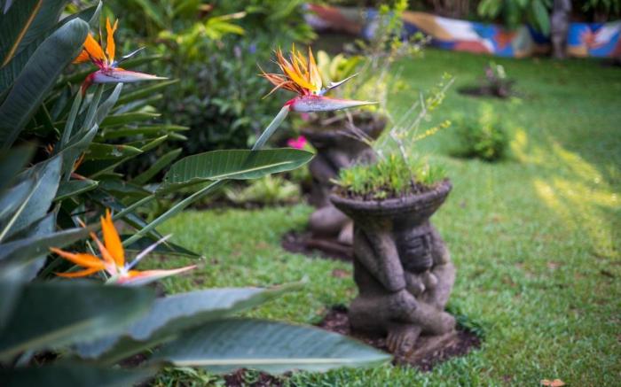 Hotel Ave del Paraiso