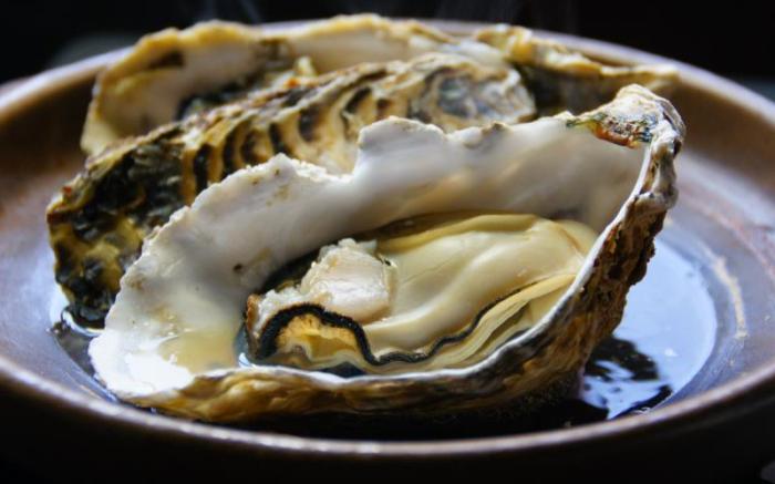 Miyajima Seaside Hotel