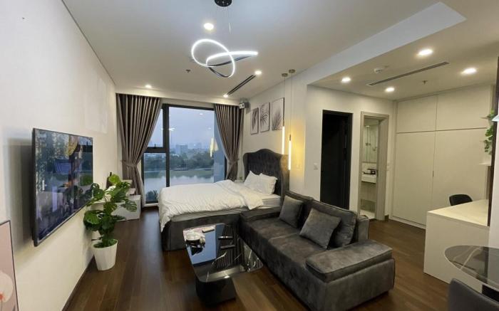 Studio, 1 King Size Bed, projector