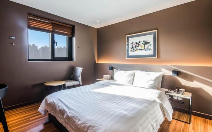 Busan Myeongji Brown Dot