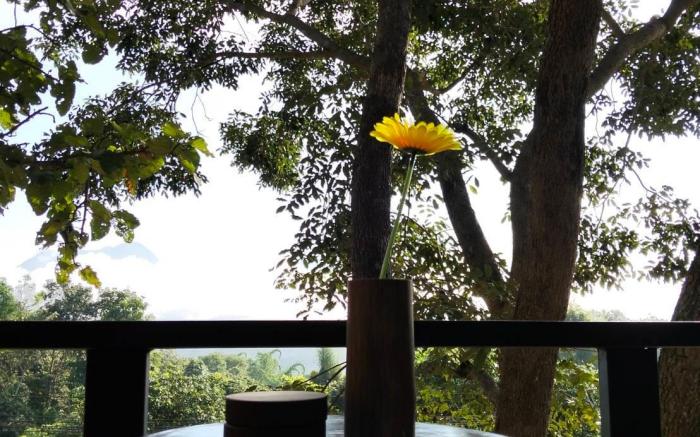 ชูบีปาย