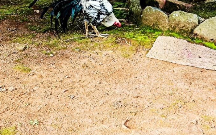 GlassHouse By Clous9Villa Resorts 