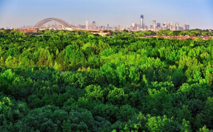 Hilton Garden Inn New York/Staten Island