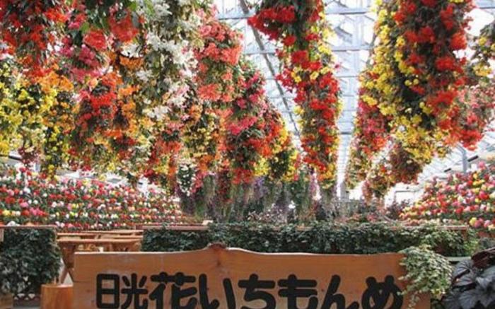 Kinugawa Grand Hotel Yume no Toki