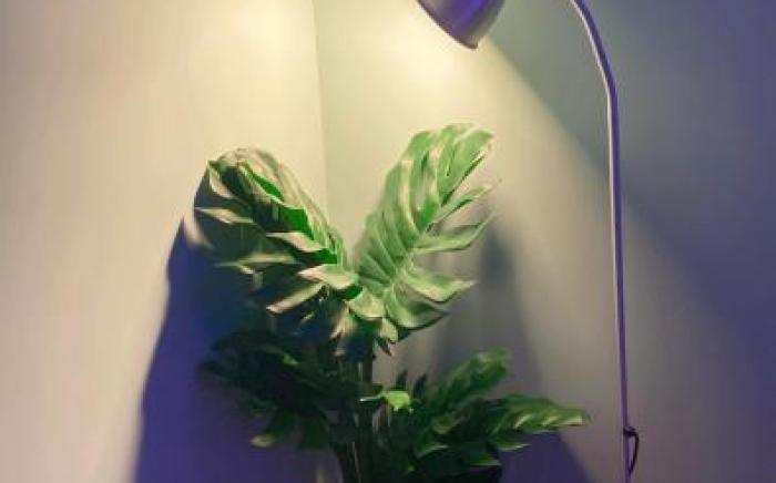 Xingdu International Youth Hotel Apartment Hostel