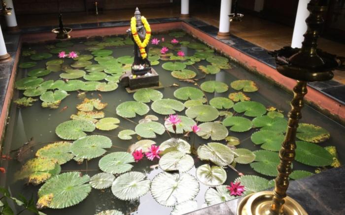 Punnamada Resort