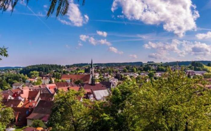 Landhotel Tanneneck (Dogfriend)