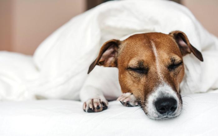 Holiday Inn - the niu, Rig Lubeck By IHG